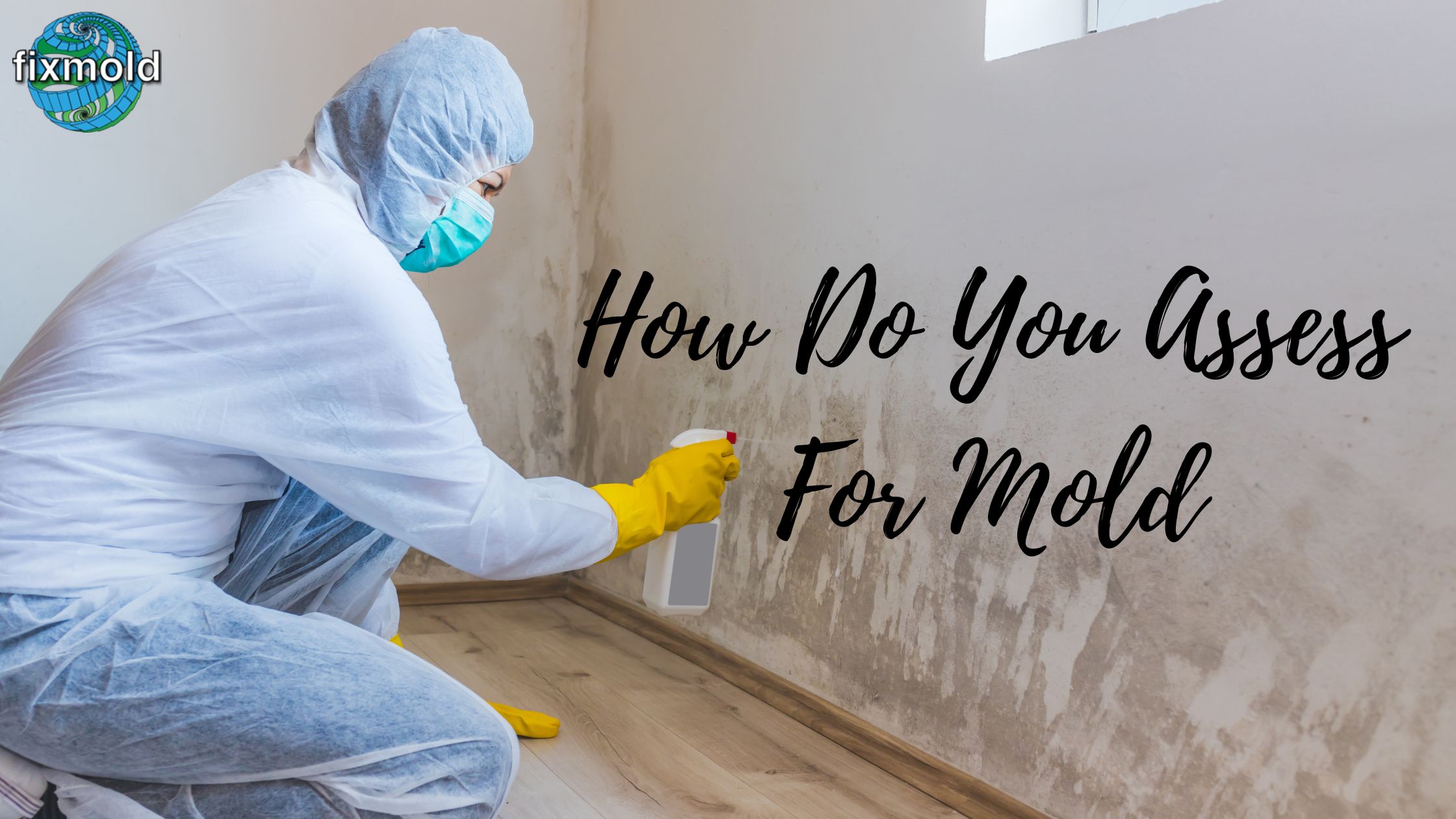 How Do You Assess For Mold