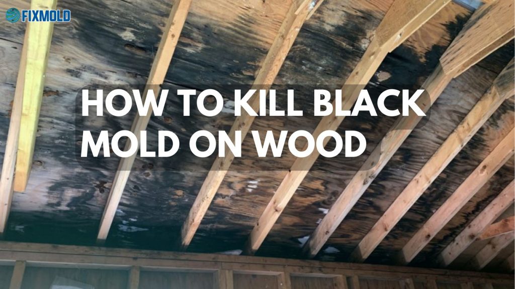 How to kill black mold on wood 